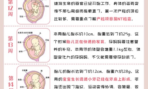 首乌藤泡酒有什么功效、首乌藤的吃法 -首乌藤煲汤的功效网